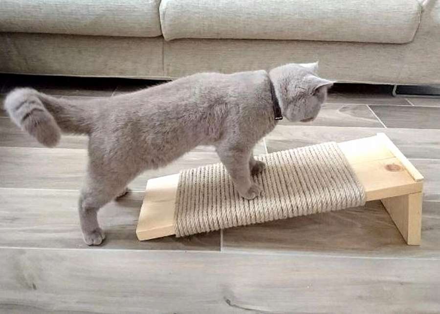 Класс! Когтеточка из фанеры: 10