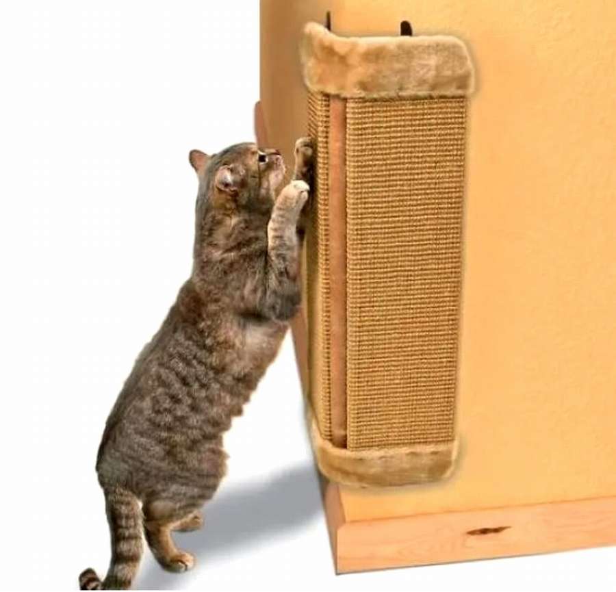 Класс! Когтеточка из фанеры: 10