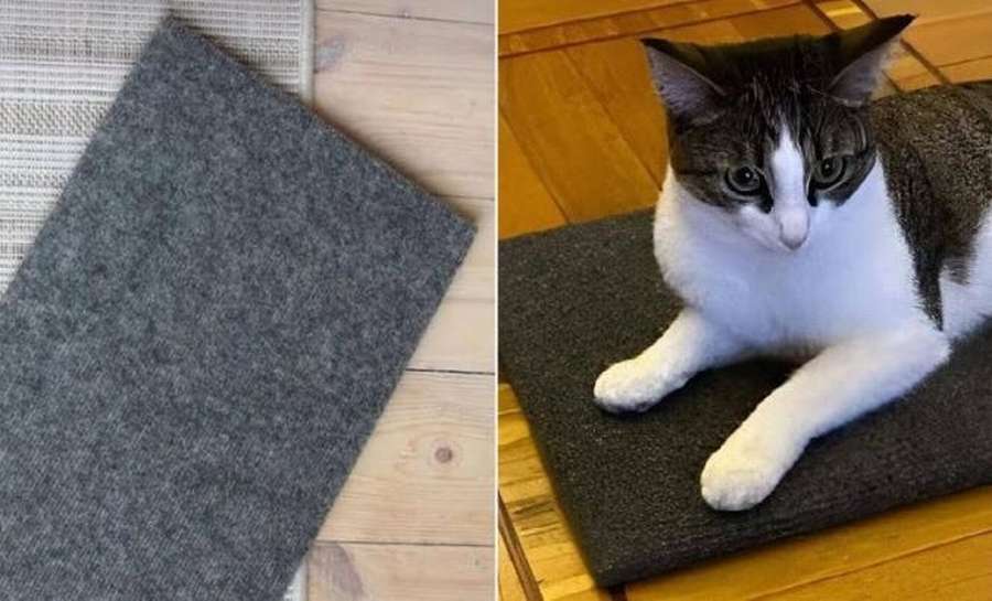 Класс! Когтеточка из фанеры: 10