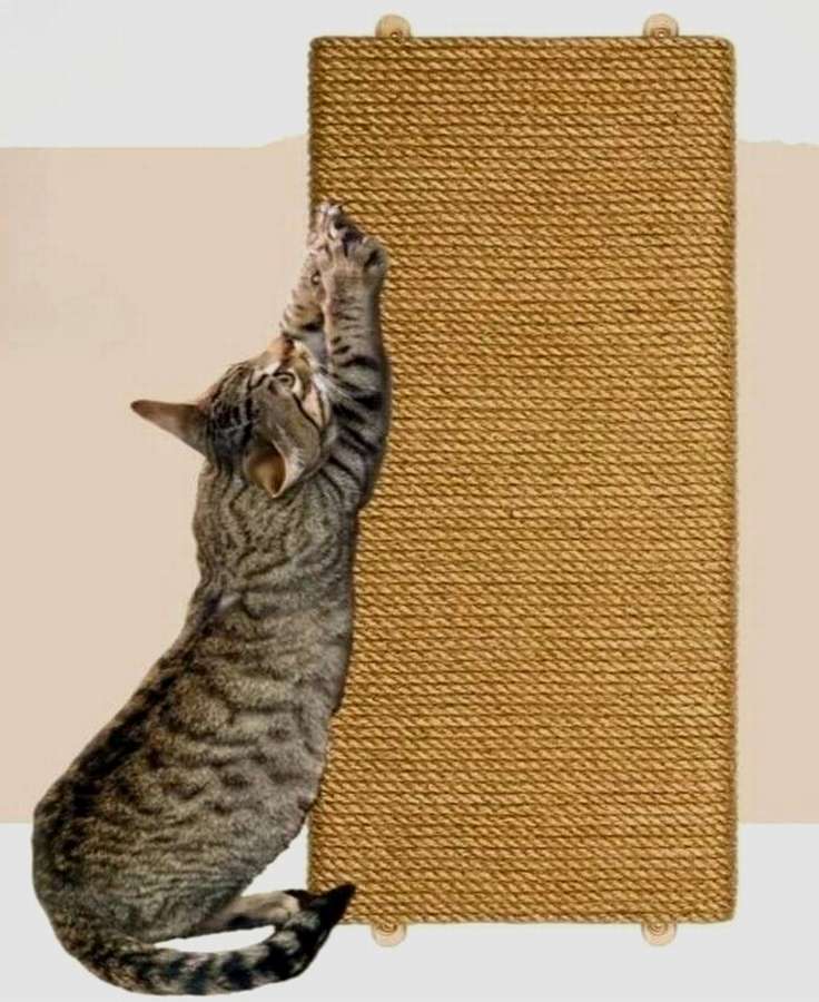 Класс! Когтеточка из фанеры: 10