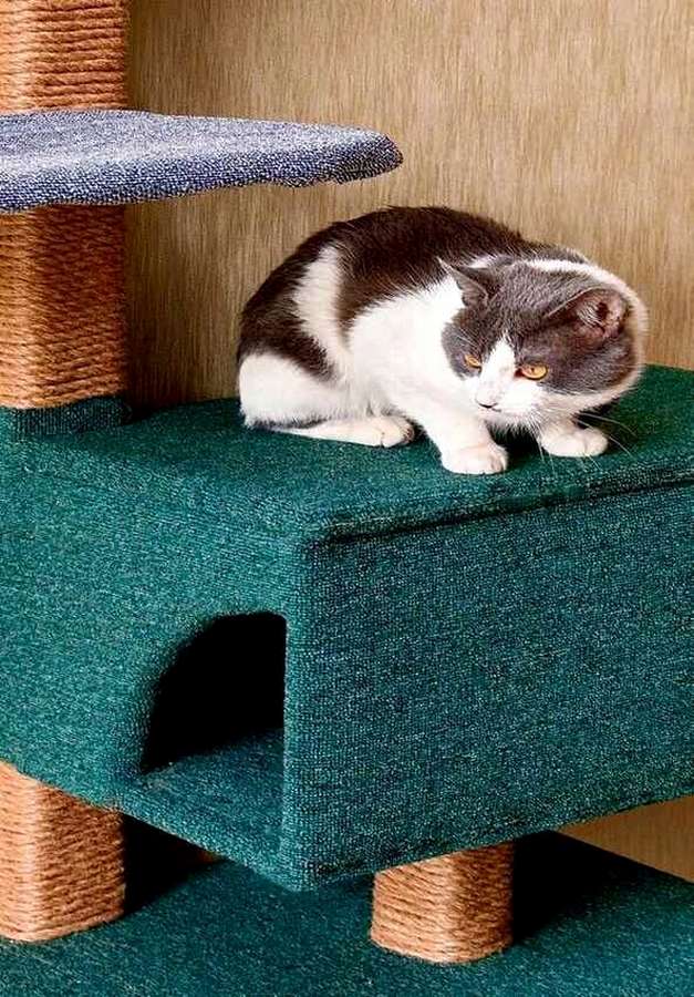 Класс! Когтеточка из фанеры: 10