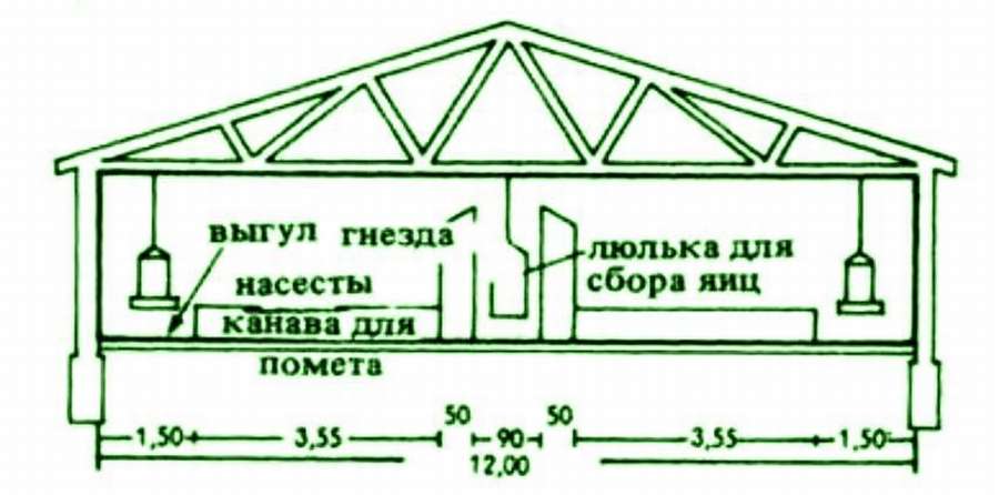 Курятник на 200 кур: 10
