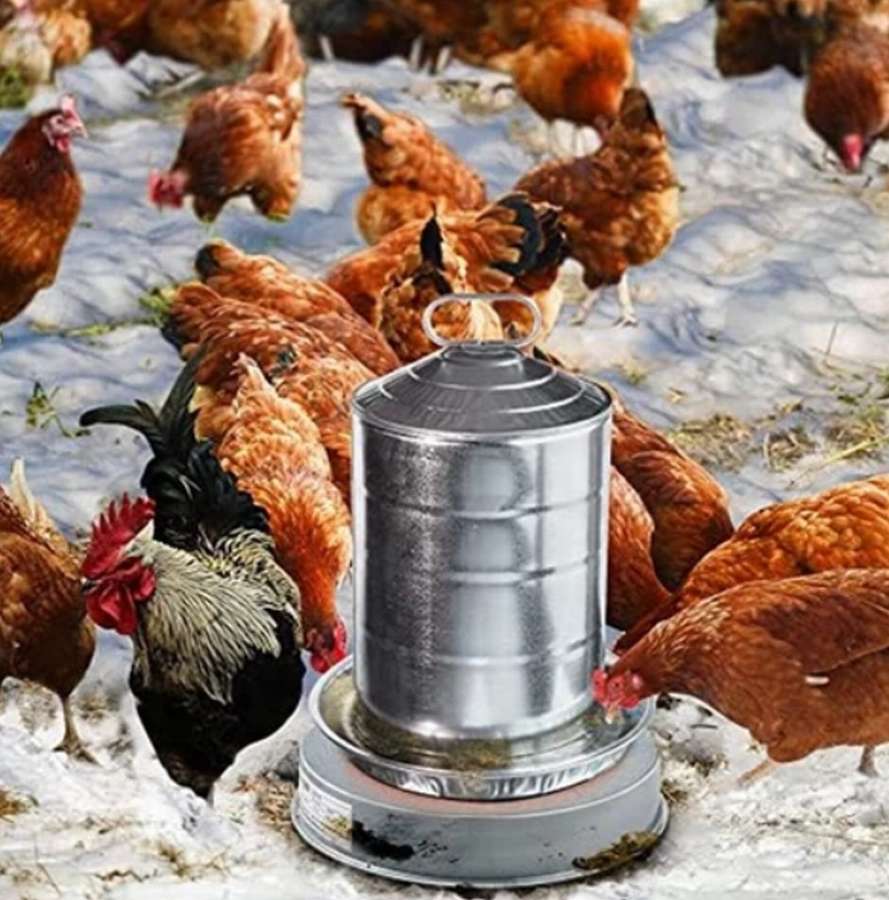 Зимняя поилка для кур с